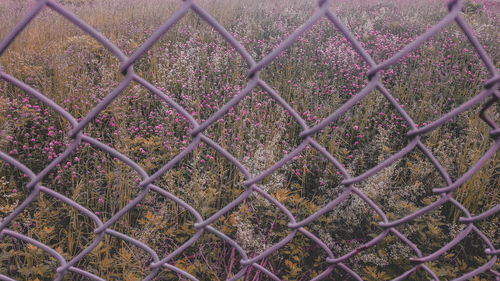 Full frame shot of chainlink fence