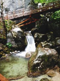 Scenic view of waterfall in forest