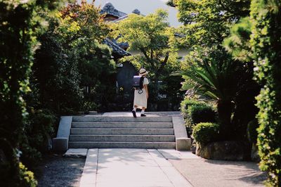 Statue on footpath amidst trees and plants