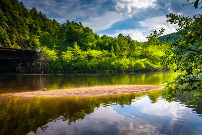 Scenic view of lake by trees against sky