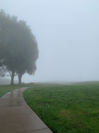 Scenic view of field against sky during foggy weather