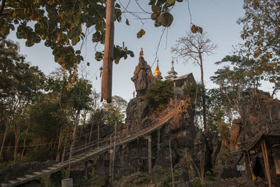 Low angle view of castle against trees in forest against sky