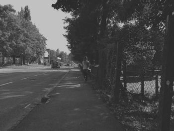 Road amidst trees against sky