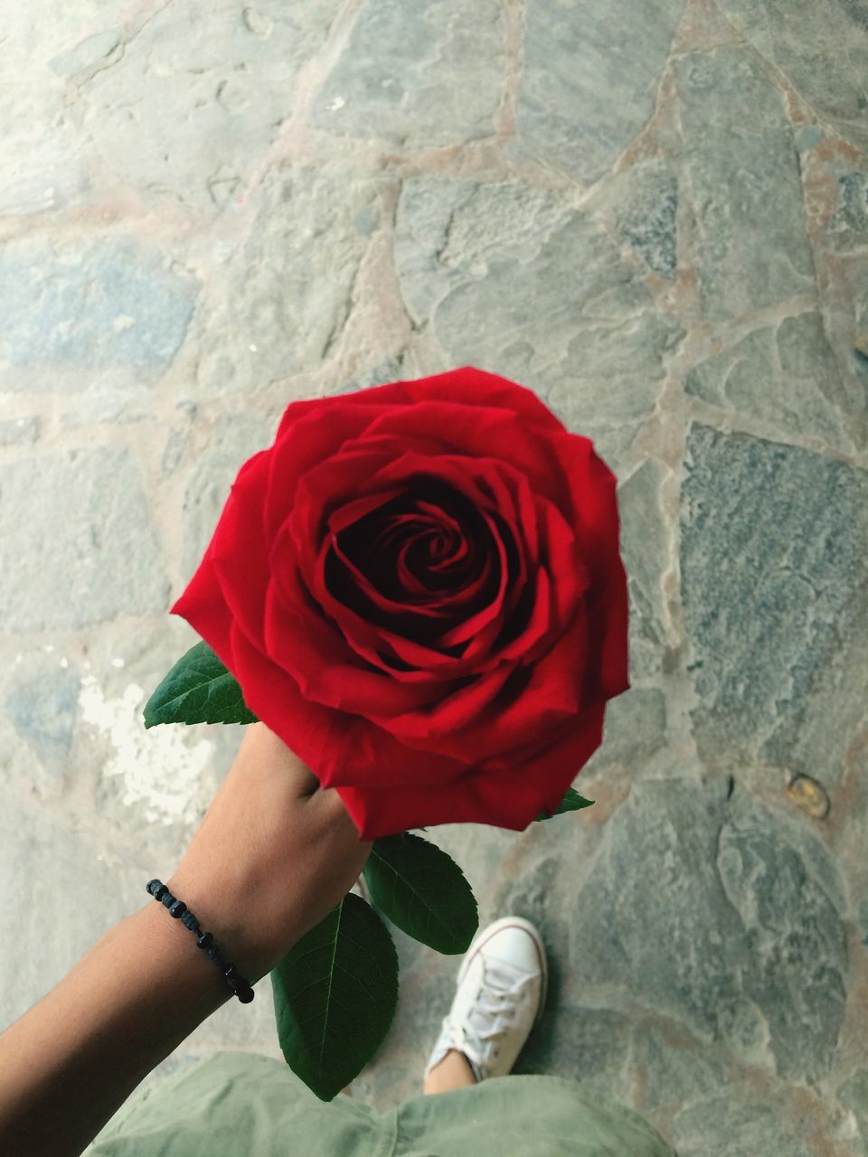 lifestyles, person, holding, leisure activity, red, low section, flower, part of, standing, personal perspective, unrecognizable person, high angle view, petal, human foot, cropped