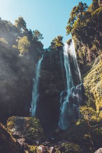 Low angle view of waterfall in forest