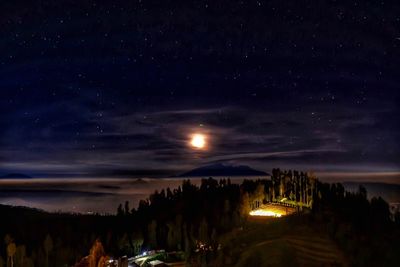 Illuminated trees against sky at night