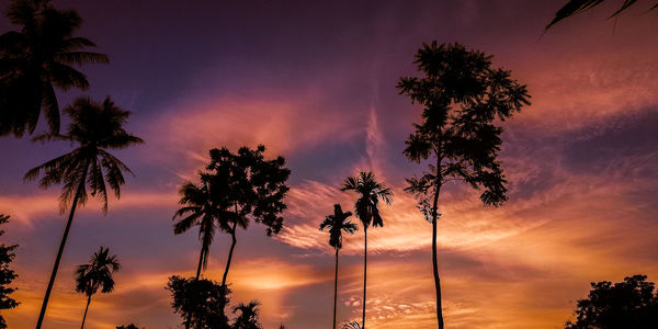 Low angle view of silhouette trees against romantic sky