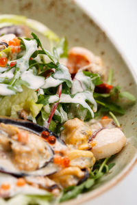 Close-up of food served in plate