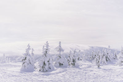 Scenic view of snow covered land against sky