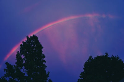Low angle view of rainbow over trees against sky