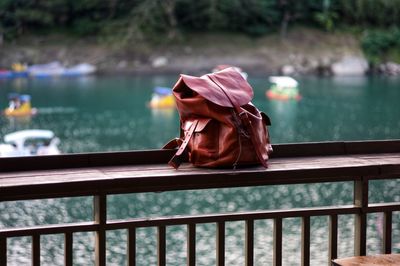 Rear view of woman standing by railing