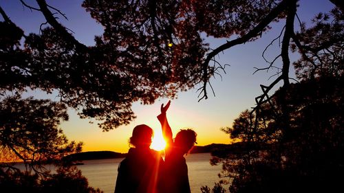 Silhouette person against trees during sunset