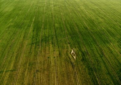 Full frame shot of farm