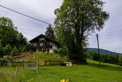 Trees and houses on field against sky