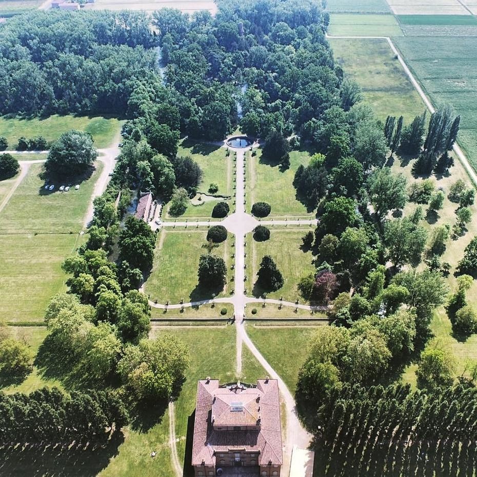 TREES AND PLANTS IN PARK