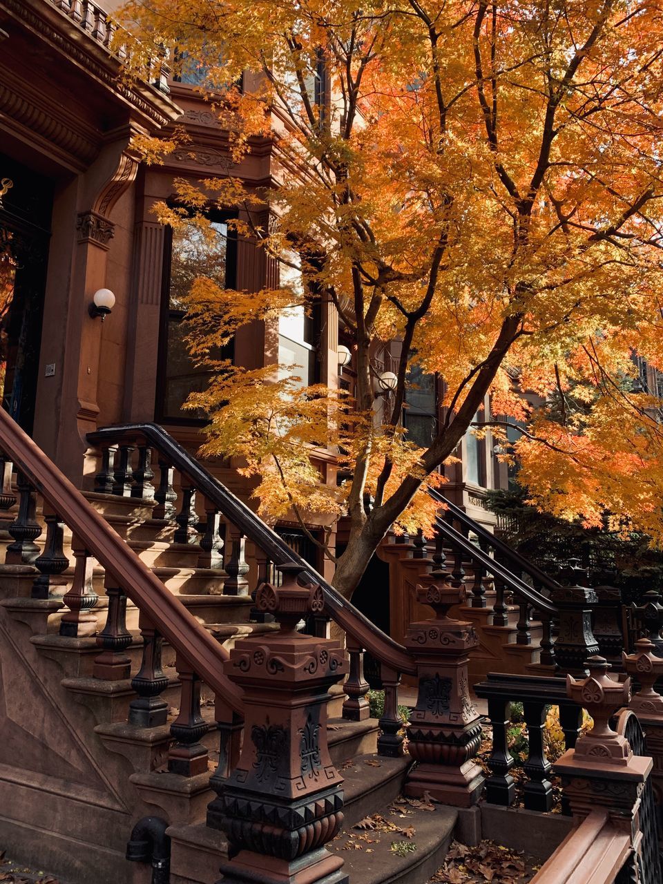 autumn, architecture, tree, built structure, plant, building exterior, nature, railing, building, no people, staircase, city, outdoors, evening, travel destinations, beauty in nature, day, flower