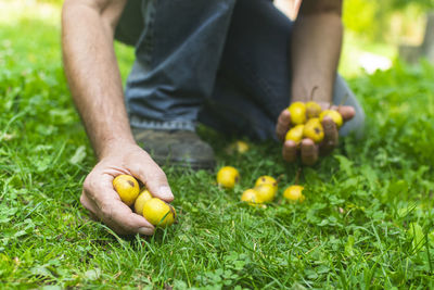 Midsection of man holding fruit on plant