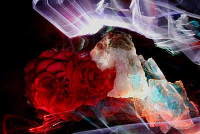 Close-up of rose bouquet