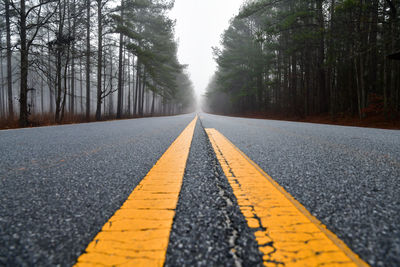 Empty road amidst trees