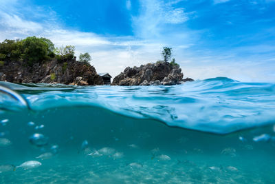 Group of fish swimming near island in the sea,phuket thailand in the summer,kohkhai island.