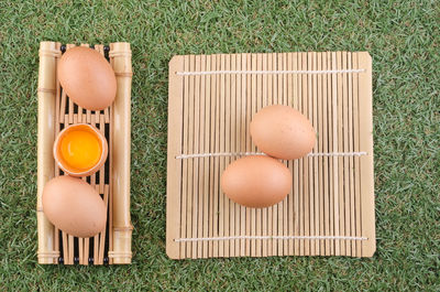 High angle view of bird on grass