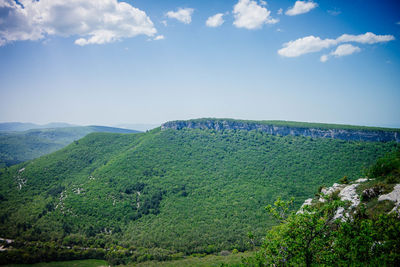 Scenic view of forest against sky