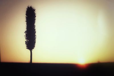 Scenic view of landscape at sunset