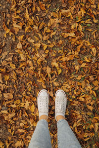 Low section of person standing on dry maple leaves