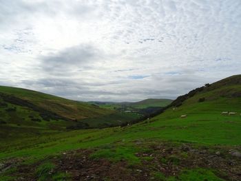 Scenic view of landscape against sky