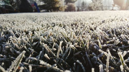 Close-up of snow on field