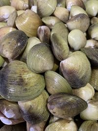 Full frame shot of onions for sale