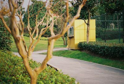 Trees in park