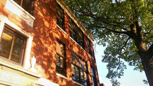 Low angle view of building