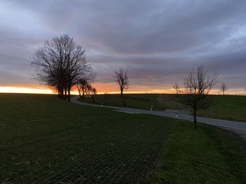 Bare trees on field against sky during sunset