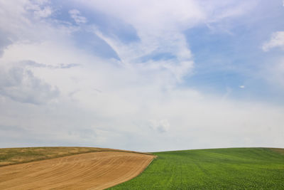 Scenic view of agricultural field against sky