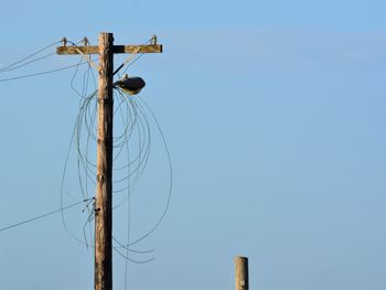 Low angle view of electricity pylon against sky