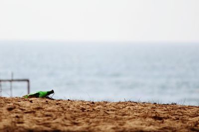 Close-up of bottle by sea against clear sky