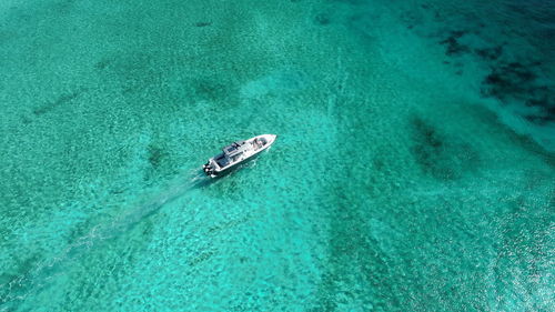 High angle view of swimming in sea