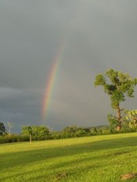 Scenic view of rainbow over field
