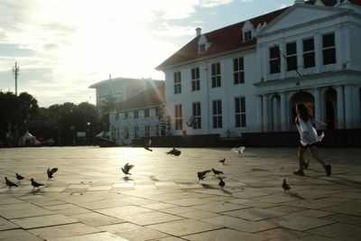 Birds walking in city against sky