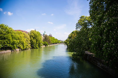 Scenic view of river amidst trees in forest against sky