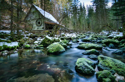 Stream amidst rocks in forest