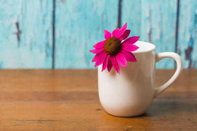 Close-up of pink flower on table