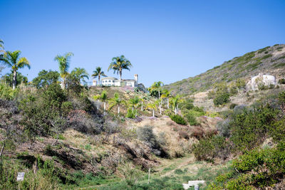 Scenic view of landscape against clear blue sky