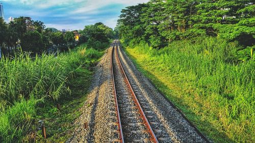 Railroad tracks amidst plants against sky