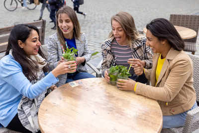 Group of friends enjoying picnic