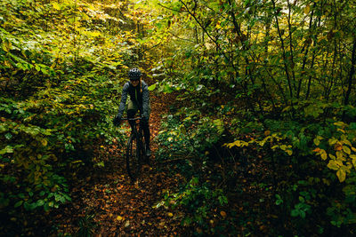 Rear view of woman walking in forest