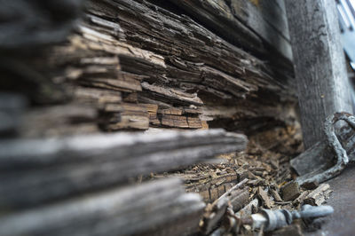 Close-up of weathered wall