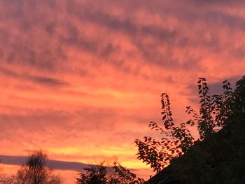 Low angle view of silhouette trees against sky at sunset