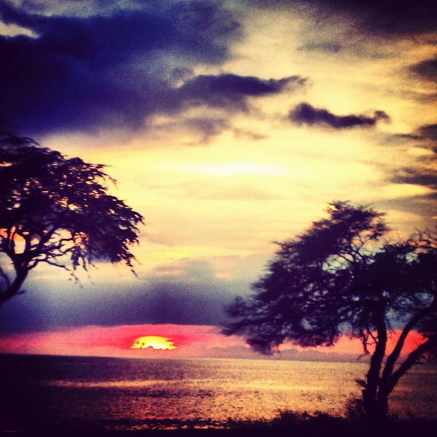 sunset, tree, sky, silhouette, scenics, tranquil scene, beauty in nature, tranquility, orange color, cloud - sky, nature, idyllic, dramatic sky, palm tree, sun, cloud, landscape, growth, majestic, outdoors